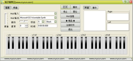 电子钢琴王
